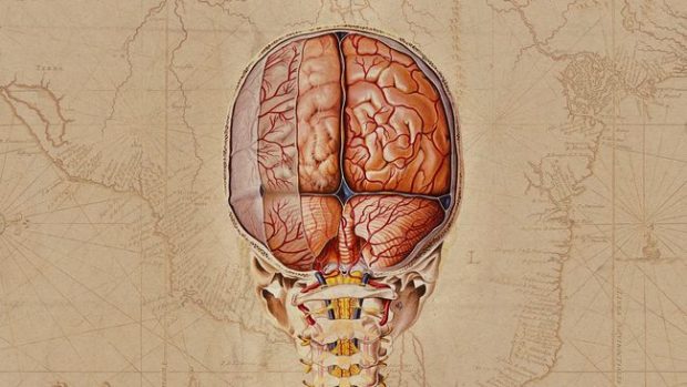 مغز پیچیده ترین جسم جهان