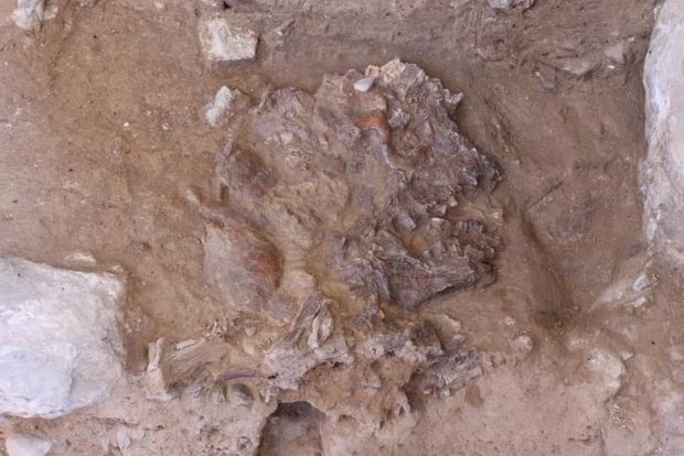 زن نئاندرتال 75 هزار ساله