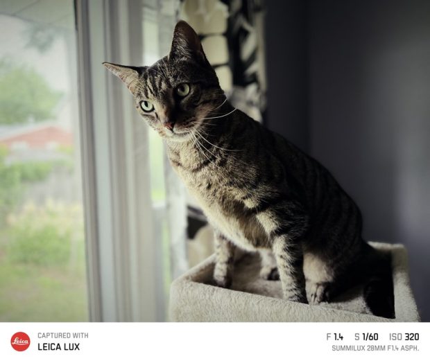 اپلیکیشن دوربین لایکا Lux برای آیفون