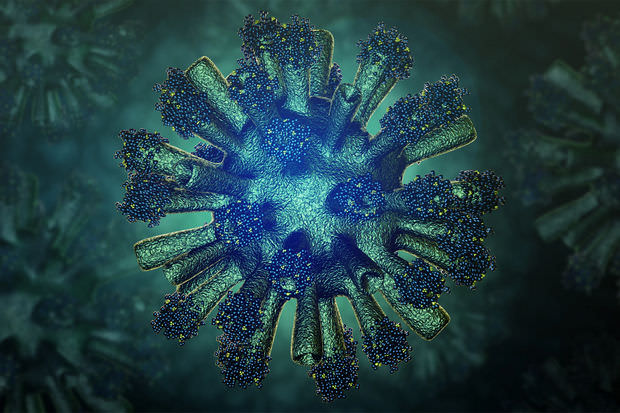 ویروس های باستانی، عامل تکامل انسان