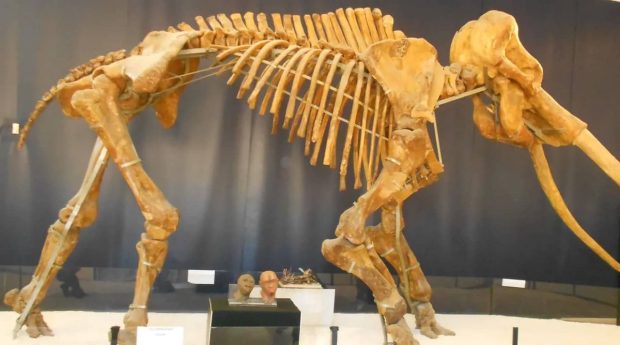 انسان‌های اولیه چطور می‌توانستند ماموت‌های غول‌پیکر را شکار کنند؟