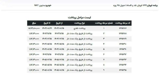 خودرو برقی بستیون نات