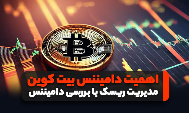 اهمیت دامیننس بیت کوین - تصویر 1