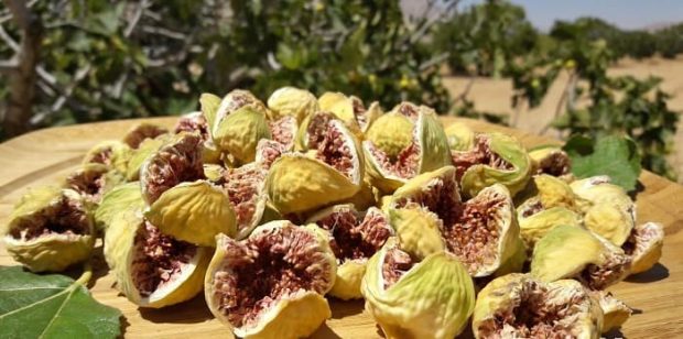 بیشترین میزان کلسیم میوه‌ها