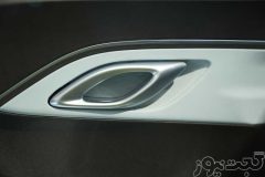 بی وای دی سیگال