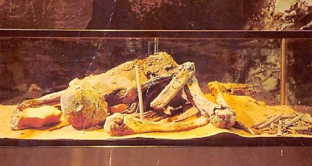 مومیایی مرموز Fawn Hoof