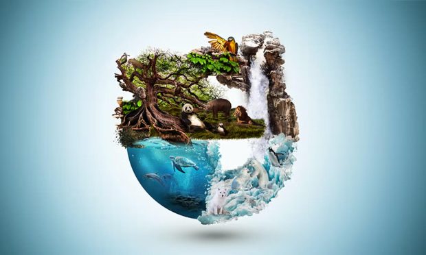 کنترل حیات روی زمین با یک قانون پنهان
