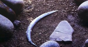 بومرنگ ۴۰ هزار ساله کشف شده در لهستان