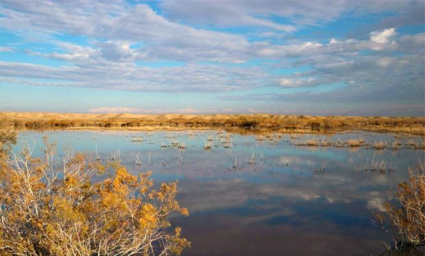 گرد و غبار سمی تهران