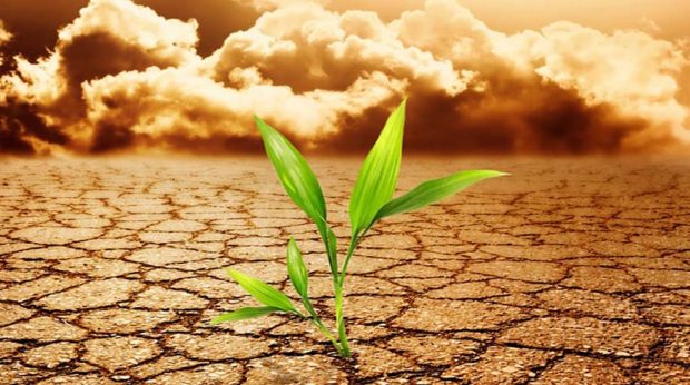 آلودگی هوا گرمایش زمین