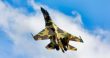 جنگنده سوخو Su-35S (فلانکر-ای)