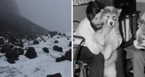 کشف راز جسد محقق بریتانیایی