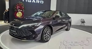 بی وای دی چین L