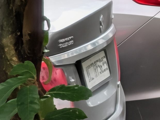 گوگل پیکسل 10 پرو XL