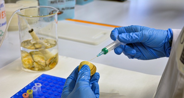 کشف جدید دانشمندان: ویروس HPV، عامل جدید یک نوع خطرناک از سرطان پوست است
