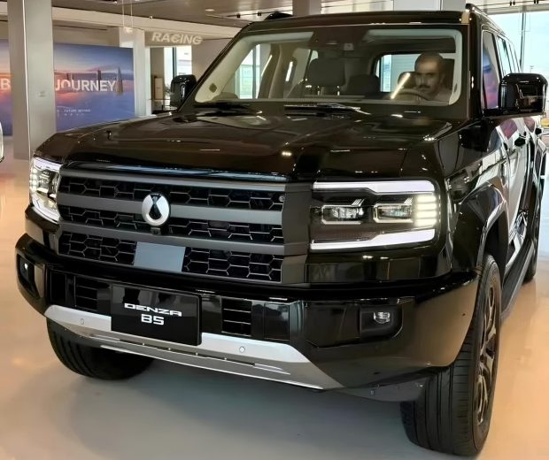 بی وای دی دنزا B8