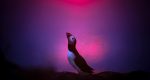 مسابقه عکاسی GDT Nature Photographer of the Year 2025