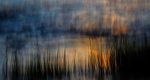 مسابقه عکاسی GDT Nature Photographer of the Year 2025