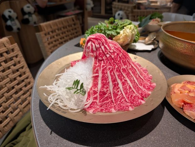 بررسی دوربین پیکسل ۱۰ پرو