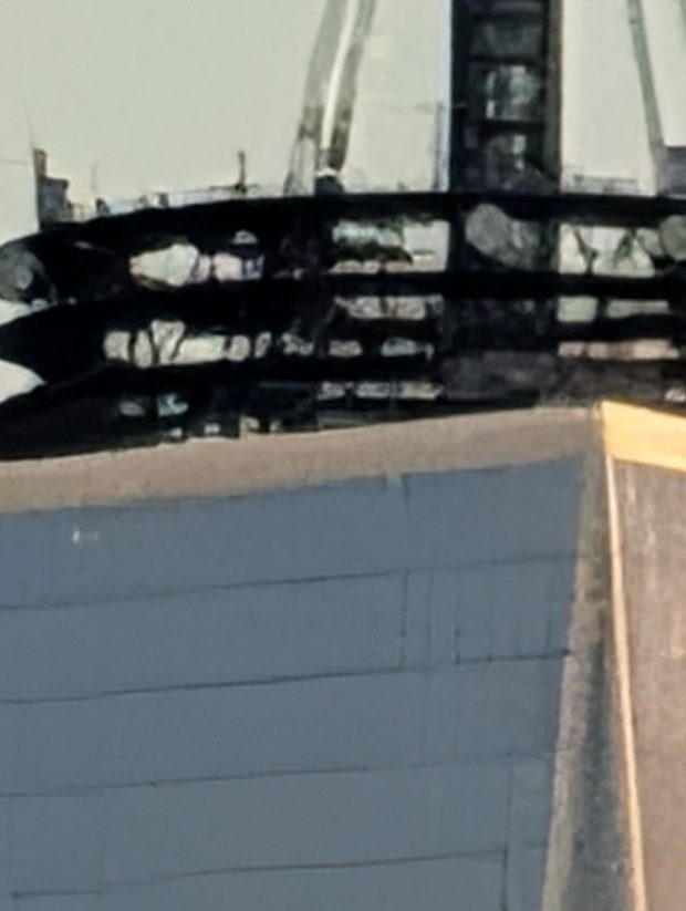 بررسی دوربین پیکسل ۱۰ پرو