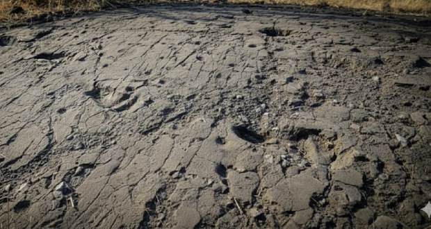 کشف رد پاهای ۳.۶ میلیون ساله در آفریقای جنوبی