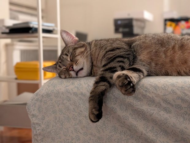 بررسی دوربین پیکسل ۱۰ پرو