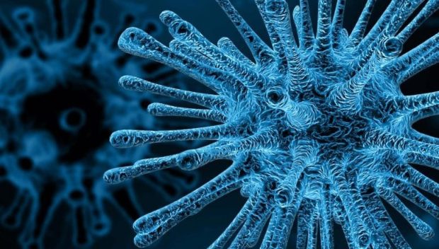 ویروس هوش مصنوعی