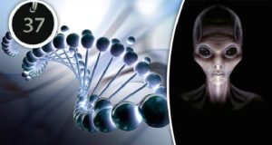 عدد 37 در DNA انسان