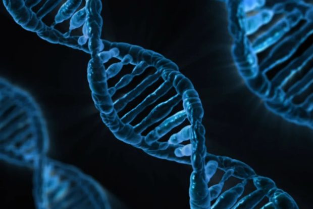 موجودات فضایی DNA انسان
