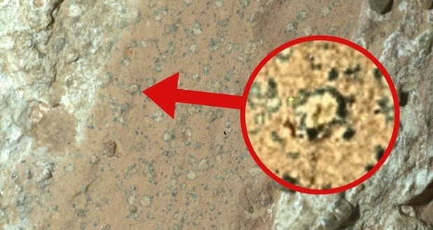 حیات در مریخ