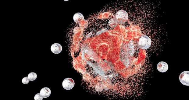 درمان سرطان با باکتری