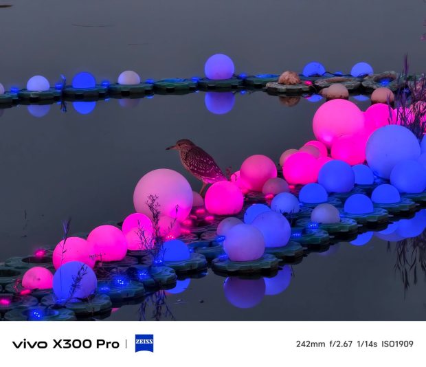 ویوو ایکس 300 پرو