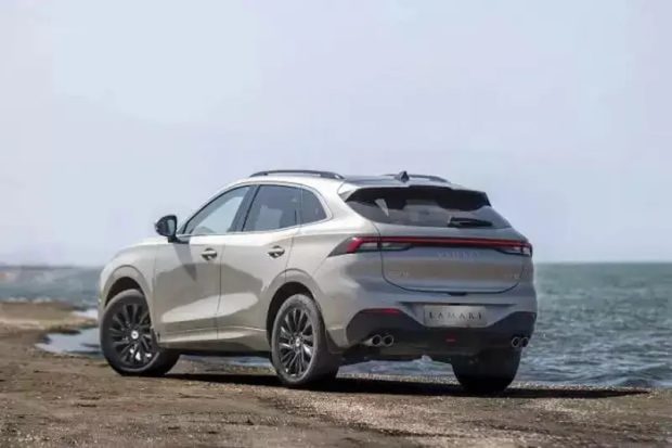 شرایط فروش لاماری ایما