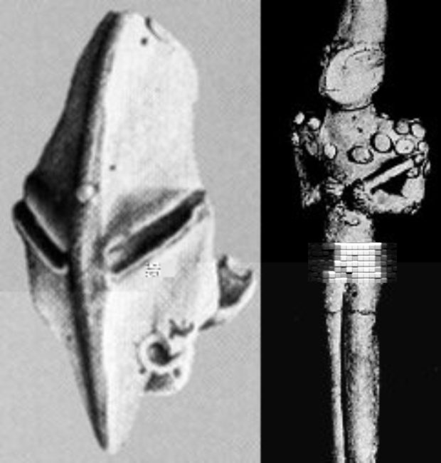 پرستش موجوداتی شبیه به مارمولک