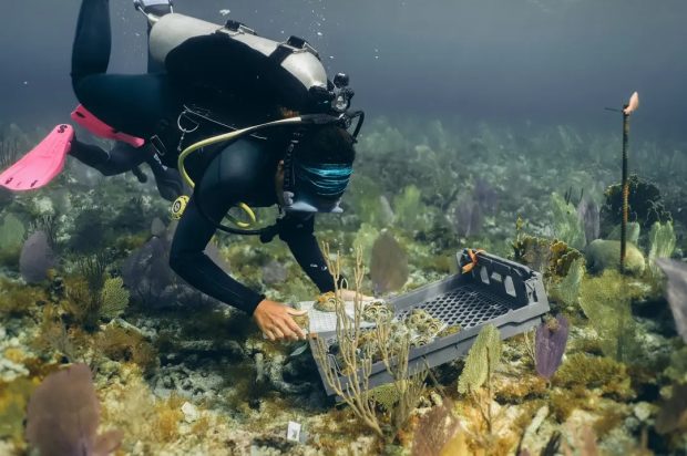 بهترین اختراعات 2025