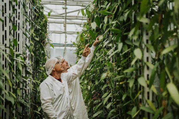 بهترین اختراعات 2025