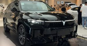 وویا فری 2025