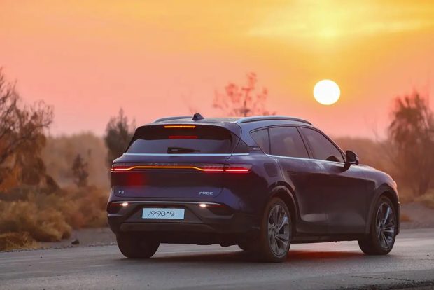 نمای عقب وویا فری