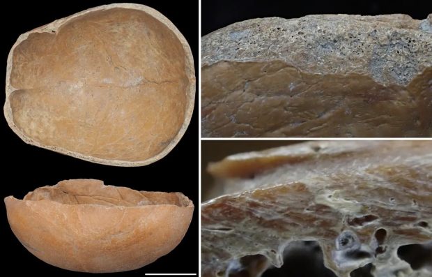 رسم ترسناک چینیان باستان