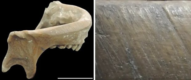 رسم ترسناک چینیان باستان