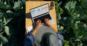 رشد فروش مک