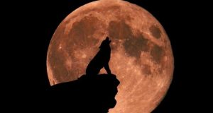 تاثیر ماه کامل