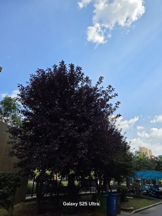 مقایسه دوربین شیائومی 17 پرو مکس گلکسی اس 25 اولترا