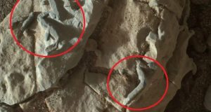 موجودات زنده در مریخ کلیدواژه فرعی: ناسا، مریخ اسلاگ پیشنهادی (Slug): nasa-mars-life-claim-scientist