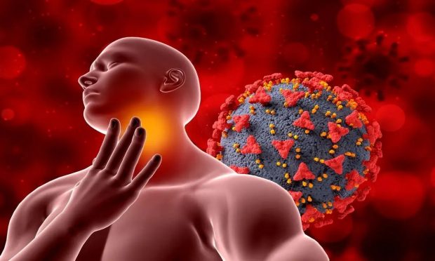 جایزه نوبل پزشکی 2025