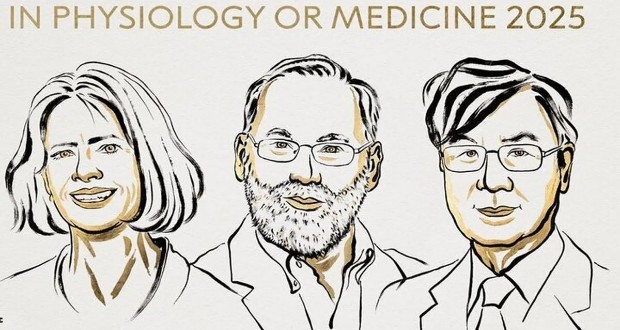 جایزه نوبل پزشکی 2025