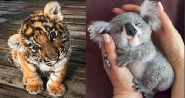 هوش مصنوعی Sora