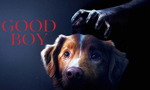 بهترین فیلم های ترسناک سال 2025