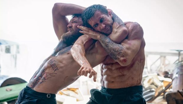 فیلم شاخص هنرهای رزمی ترکیبی