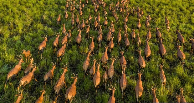 بهترین عکس‌های سال 2025 نشنال جئوگرافیک